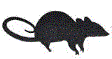 Le rat, ami, logo et symbole du filinfogate, scandale Le rat, ami, logo et symbole du filinfogate, scandale