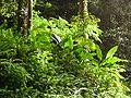 Martinique, Fil-info-France, régions, villes, fr